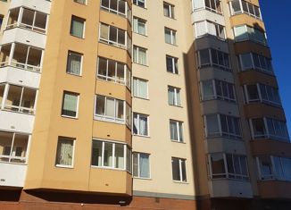 Продается 1-комнатная квартира, 33.5 м2, Санкт-Петербург, улица Димитрова, 3к1, метро Проспект Славы