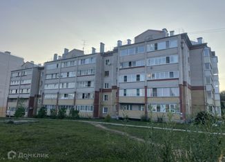 Продажа 3-комнатной квартиры, 57 м2, Киров, Новая улица, 4