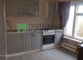 Продам дом, 56 м2, деревня Бердышла, Центральная улица, 108