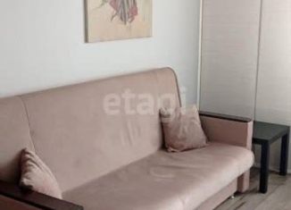 Сдача в аренду квартиры студии, 24 м2, Новосибирск, Приморская улица, 24, Советский район