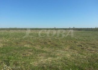 Продается земельный участок, 600 сот., село Червишево, улица Мира