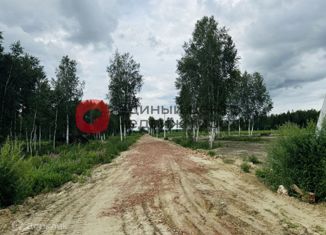 Земельный участок на продажу, 5 сот., деревня Решетникова, Салаирский тракт, 14-й километр