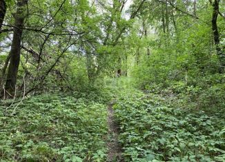 Продам земельный участок, 18 сот., село Верхнее Турово, улица Кирова