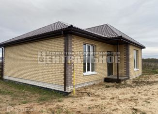 Продается дом, 100 м2, деревня Быльники, улица Героя России Андрея Панова