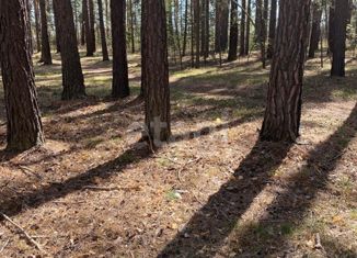 Продаю земельный участок, 10 сот., село Лесниково