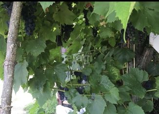 Продам дом, 78 м2, деревня Мураевка