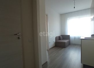 Продаю однокомнатную квартиру, 27.4 м2, Санкт-Петербург, муниципальный округ Лахта-Ольгино, Ивинская улица, 15