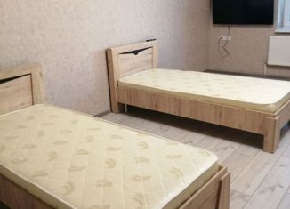 Сдача в аренду дома, 100 м2, село Чистенькое, Верхний квартал, 77