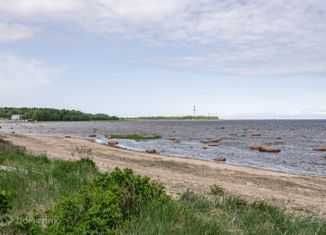 Продаю земельный участок, 15 сот., деревня Шепелёво