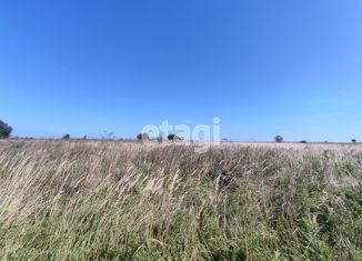 Участок на продажу, 15.55 сот., село Спас, село Спас, 43А