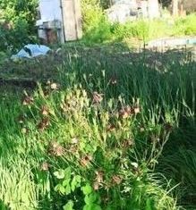 Продается дом, 23.9 м2, Хабаровск, улица Революции, 11