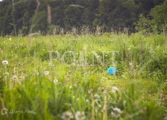 Продам земельный участок, 25 сот., деревня Афинеево