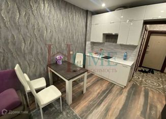 Сдается 1-ком. квартира, 27 м2, Новосибирск, Приморская улица, 24, Советский район