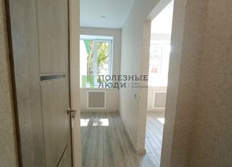 Продажа 1-ком. квартиры, 19 м2, посёлок городского типа Васильево, Заводская улица, 5