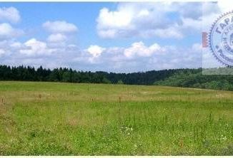 Продается земельный участок, 25 сот., деревня Ананьино