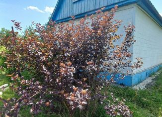 Продается дом, 41.2 м2, садоводческое товарищество Солнечное