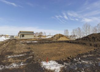 Продаю дом, 62 м2, село Дружино, Александровская улица