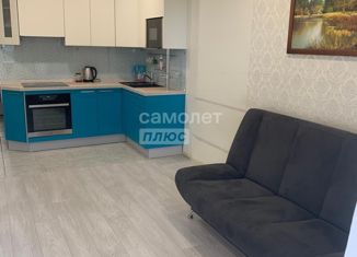 Квартира в аренду студия, 25 м2, посёлок Шушары, Новгородский проспект, 4