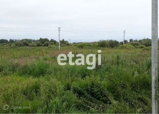 Продаю участок, 14 сот., село Борки