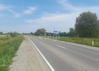 Продаю участок, 10.6 сот., село Чистополье, Центральная улица, 2