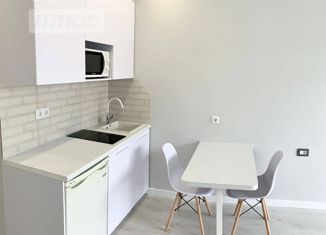 Продаю квартиру студию, 23 м2, село Орёл-Изумруд, улица Лазурная Долина, 191А