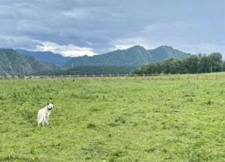 Земельный участок на продажу, 10 сот., село Аюла, Центральная улица