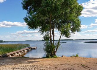 Продам участок, 20 сот., деревня Конец Бор, Конец-Борская улица, 1