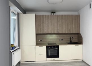 Двухкомнатная квартира на продажу, 52.7 м2, Санкт-Петербург, улица Одоевского, 17, улица Одоевского