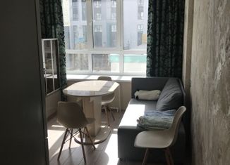 Сдается однокомнатная квартира, 35 м2, Самара, улица Гая, 20, метро Российская