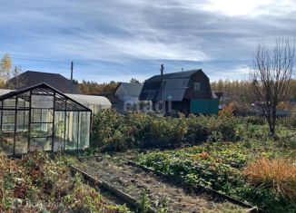 Продаю дом, 40 м2, Курганская область, СНТ Надежда, 532