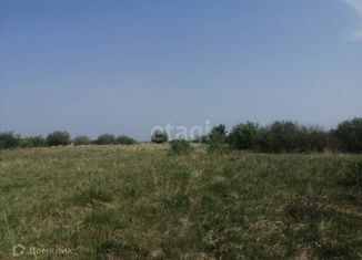 Продается участок, 12.6 сот., село Кунашак, улица Дружбы