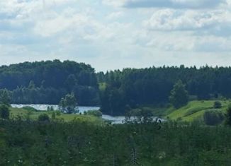 Продаю земельный участок, 25 сот., деревня Ивкино