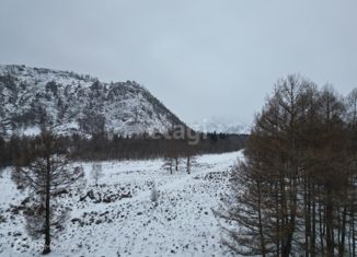 Продам земельный участок, 100 сот., село Онгудай, улица Ленина