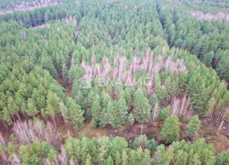 Продам земельный участок, 10 сот., деревня Ладога