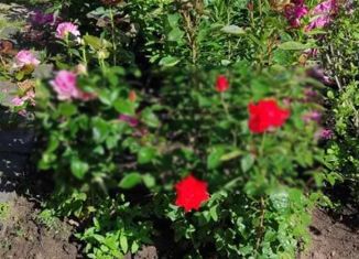 Дом на продажу, 45 м2, СНТ Приморье, Дачная улица