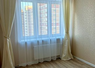 Однокомнатная квартира на продажу, 42 м2, село Осиновая Гора, улица Аркадия Шипунова, 12