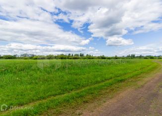 Продаю земельный участок, 4.64 сот., деревня Коняшина