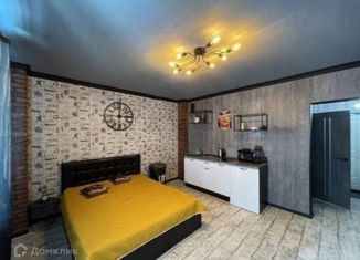 Сдается квартира студия, 30 м2, Тюмень, улица Николая Никитина, 2, ЖК Квартал 1964