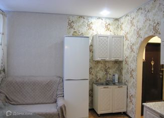 Продам однокомнатную квартиру, 42 м2, Санкт-Петербург, 1-я Утиная улица, 28, 1-я Утиная улица