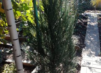 Дом на продажу, 33 м2, СНТ Ясные зори