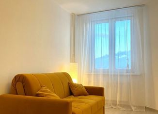 Аренда 1-комнатной квартиры, 29 м2, Мурино, проспект Авиаторов Балтики, 19, ЖК Охтинская Дуга