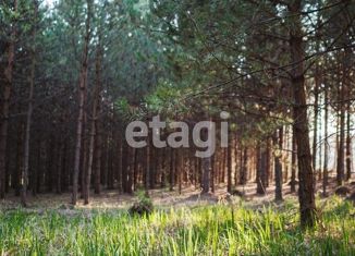 Продам участок, 11.36 сот., городской округ Дивногорск