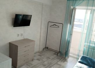 Продажа 1-ком. квартиры, 24.6 м2, Ставрополь, проспект Кулакова, 65, микрорайон № 18