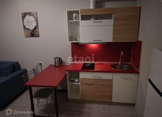 Аренда квартиры студии, 27 м2, Ростов-на-Дону, Художественная улица, 9, ЖК Платовский