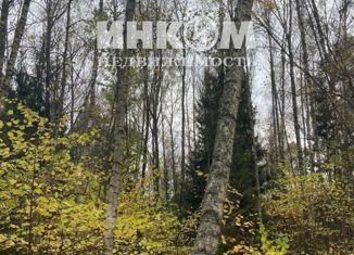 Продаю участок, 10.5 сот., деревня Слепушкино