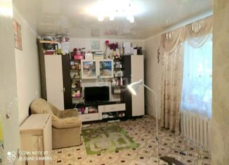 Двухкомнатная квартира на продажу, 41.6 м2, село Осиново, Центральная улица, 5
