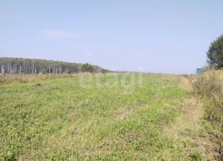 Продажа участка, 15 сот., село Губино