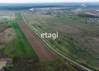 Продам земельный участок, 410 сот., село Салаирка