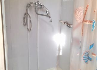 Продам квартиру студию, 23.4 м2, село Дмитриевка, Трактовая улица, 2/1