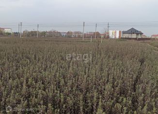 Продается земельный участок, 5.6 сот., садовое товарищество Нива-2